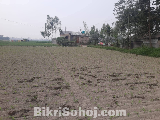 জমি